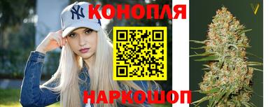 тгк Моздок