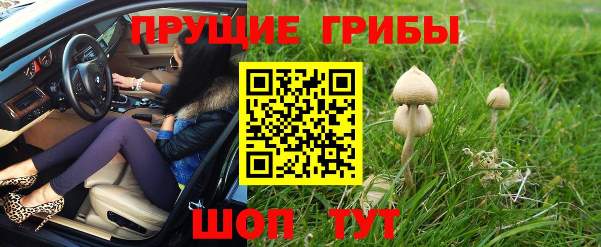 Бузулук  Псилоцибиновые грибы Magic Shrooms  Вход с VPN 